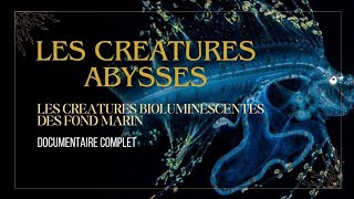 Les Abysses  Les créatures lumineuses  Documentaire [upl. by Aigil]