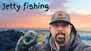 lingcod jetty fishing Newport oregon [upl. by Annaes]