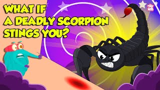 How Does Scorpion Sting  Scorpion Venom Effects  Most Deadliest Scorpions  Dr Binocs Show [upl. by Grew]