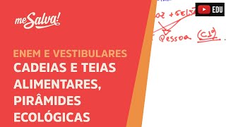 Me Salva ECO14  Ecologia  Cadeias e teias alimentares pirâmides ecológicas [upl. by Verada249]