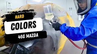 Mastering Metallics A StepbyStep Guide to Applying Leafing Aluminum Flake Paint 46G [upl. by Profant]