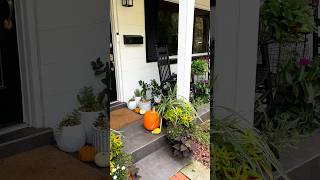 Festive Fall Decor How Long Do Your Keep Your Pumpkins amp Gourds fall garden porchdecor shorts [upl. by Anujra]