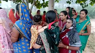 Bata Brukshya ll Kartika Masa II Baluka Puja Parikrama II ULBA bhajan parikrama kartik [upl. by Ahsoem]