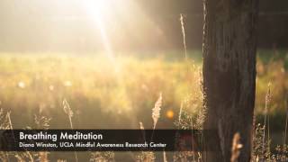 Breathing Meditation  UCLA Mindful Awareness Research Center [upl. by Durrell]