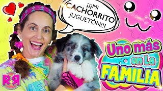 UNO MÁS en la FAMILA 🐶 TAG de la MASCOTA NUEVO MIEMBRO revoltoso 🐕 Perritos cachorros YOUTUBERS [upl. by Lenad614]