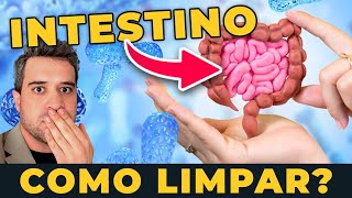 COMO EMAGRECER RÁPIDO  O MELHOR SUPLEMENTO Natural  SECA BARRIGA e LIMPA INTESTINO [upl. by Nason]