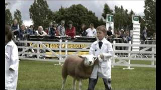 Great Yorkshire Show Sheep young handlers competition [upl. by Llertnahs]