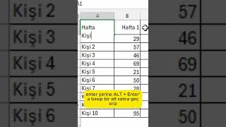 Excel’de Tek Hücrede İki Başlık excel exceltips exceleğitimleri exceleğitimleri keşfet [upl. by Eilime]