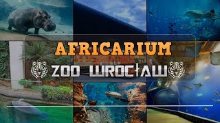 Oceanarium 🐟 Afrykarium 🐟Wroclaw 🐟Poland 🐟 WALKING TOUR [upl. by Goss]