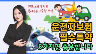 운전자보험 필수특약 5가지면 충분합니다 [upl. by Jean447]