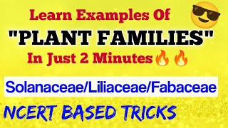 Learn PLANT FAMILIES In 2 Minutes😎 Solanaceae Liliaceae Fabaceae  Ncert Based Tricks  Neet 2021 [upl. by Sew]