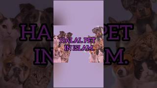 Halal pet in Islam shorts Mhali122 [upl. by Brewer]