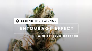 Terpenes amp Terpenoids  Presented by Dr Jamie Corroon [upl. by Eicats610]