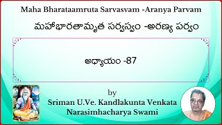 MahaBharatam Aranya Parvam Ch87 by Kandlakunta Venkata Narasimhacharya swami [upl. by Ecneitap]