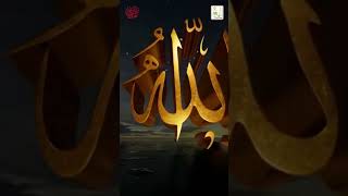 Salam ki Ehmiyat  iqbalsalfi salfihouse islamicshorts [upl. by Yemrej]