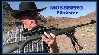 Mossberg 702 Plinkster 22 Rifle  Best 120 I Ever Spent [upl. by Pinter268]