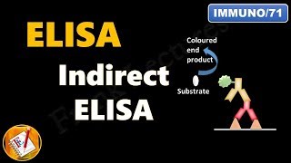 Indirect ELISA FLImmuno71 [upl. by Thanh]