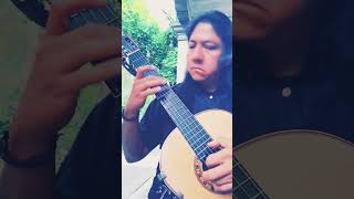 Milonga  Jorge Cardoso shorts shortyoutube short video guitar musica arte instrumental ab [upl. by Sayed]