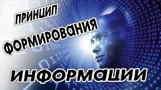 Принцип формирования ИНФОРМАЦИИ [upl. by Polak28]