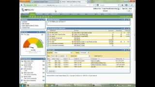 NetSuite Overview [upl. by Ellinet]