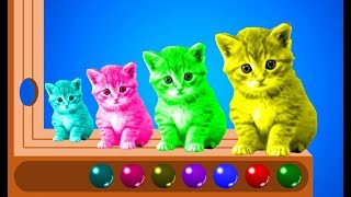 Learn Colors With Cute Kitten Cat Colours Animation Education Cartoon for Kids [upl. by Semadar]