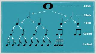 Basic Rhythms and Counting [upl. by Felike]