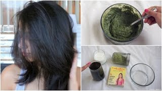 How to Apply Henna to hair at Home [upl. by Atined542]