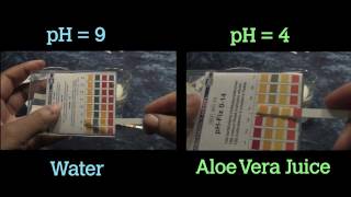 Bentonite Clay Water vs Aloe Vera Juice [upl. by Oijimer]