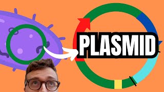 PLASMIDS EXPLAINED [upl. by Aiket]