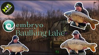 272 Embryos Baulking Lake [upl. by Lussi]