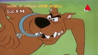 ScoobyDoo Theme Song  ස්කුබිඩූ  Sirasa TV [upl. by Atnauqal688]