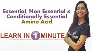 Essential Non Essential amp Conditionally Essential Amino Acid Learn in 1 minuteTrickBiochemistry [upl. by Eriuqs]