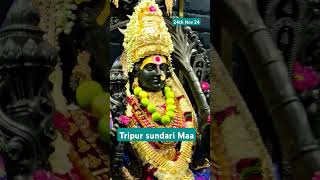 Tripur sundari Maa shringar 24th Nov 24 maa tripursundari mumbai ❤️💕❤️ [upl. by Ahsrav104]