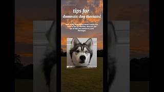 tips for domestic dog therians🦴🐕 therianalterhumanfypquadsdogarttrendingshortsfurryfur [upl. by Arhas]