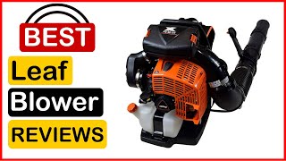 🏆 Best Backpack Leaf Blower Amazon In 2023 ✅ Top 5 Tested amp Buying Guide [upl. by Tommi]