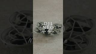 DJIの新ドローン DJI NEOが楽しすぎる、、！ PR djineo [upl. by Enala819]