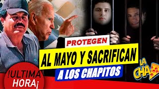 🚨🔴SE REVELA que USA SACRIFICARA a Los Chapitos PARA PROTEGER Al Mayo 🍕🇺🇸👨🏻‍🌾 [upl. by Elayor]