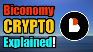 What is Biconomy  BICO Cryptocurrency Explained [upl. by Feinberg]