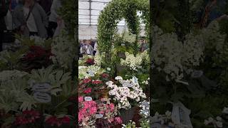 BBC Gardeners’ World Live 2024 Floral Marquee Award Winning Flower Displays flowers bbc [upl. by Lewej355]