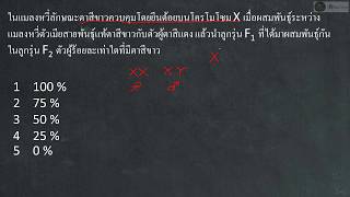 ชีววิทยา เฉลย 9 วิชาสามัญ 59 ข้อ 53  พันธุศาสตร์ X  Linked recessive [upl. by Syman]