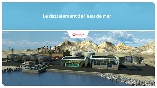 Le dessalement de leau de mer  Veolia [upl. by Torrey]