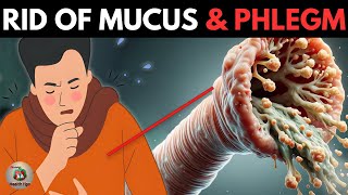 Get Rid From Mucus amp Phlegm with these 6 BEST and Easy Ways [upl. by Ahsinot]