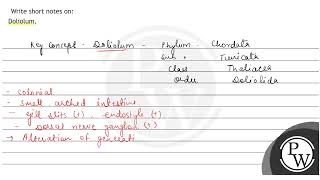 Write short notes on Doliolum [upl. by Eimmot]