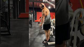 Standing Cable Tricep Kickbacks  a link to the full workout is in the description [upl. by Anura578]