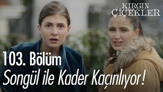 Songül ile Kader kaçırılıyor  Kırgın Çiçekler 103 Bölüm [upl. by Lednar]