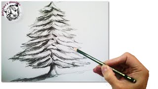 Cómo Dibujar Un Abeto o Arbol de Navidad Realista Paso a Paso a Lápiz Tecnicas de Dibujo [upl. by Snave]