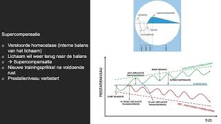 Trainingsprincipes overload supercompensatie etc [upl. by Lletnwahs]