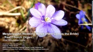 Mendelssohn Wedding March Here Comes the Bride  Real Church Organ [upl. by Tedi81]