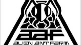 Alien Ant Farm These Days [upl. by Anaihr]