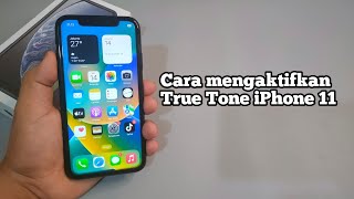 Cara Mengaktifkan True Tone iPhone 11 [upl. by Llewxam]